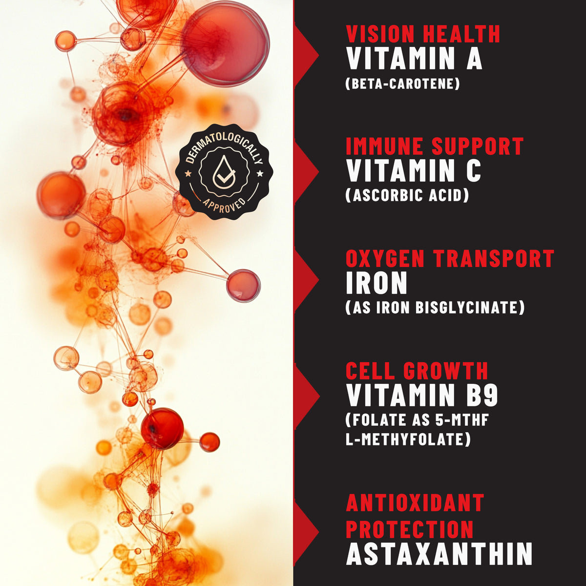 Iron Patches Iron & Blood Health Support with Iron, Vitamin C & Antioxidants, 36 Patches