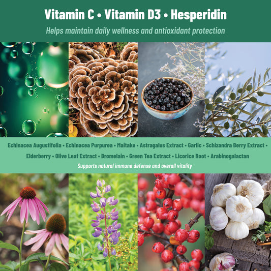 ImmuShield Patches Daily Wellness with Vitamin D3, Zinc & Plant Extracts, 36 patches