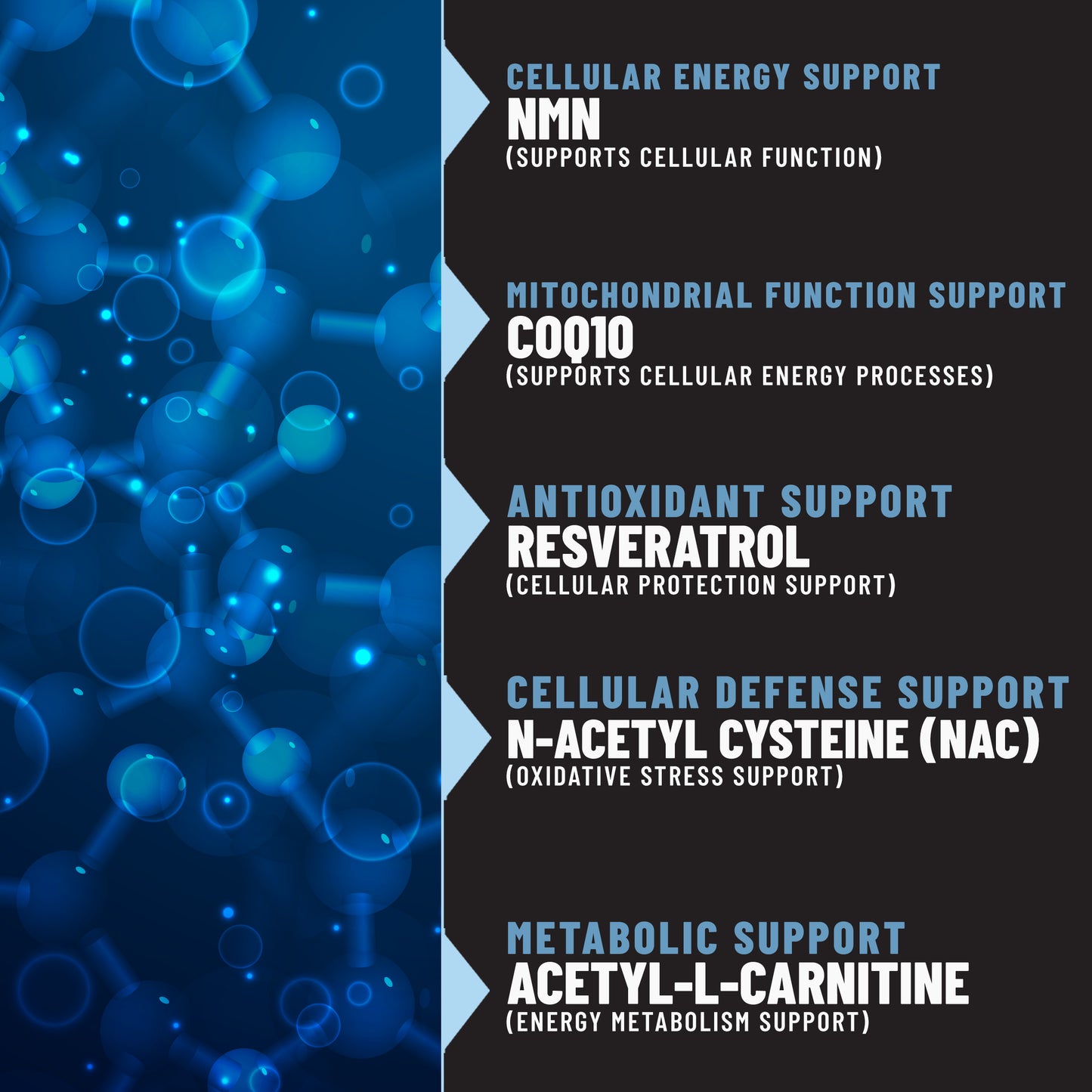 NAD+ Patches, Cellular Energy & Daily Vitality Support with NMN, Resveratrol, CoQ10 & B-Complex, 36 Patches