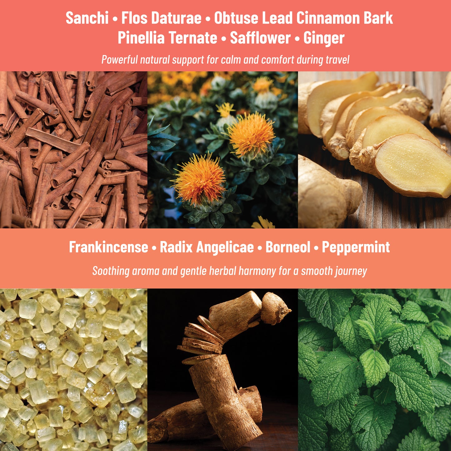 Motion Sickness Patches Herbal Essential Oil Patch with Ginger, Peppermint & Sanchi, 36 patches