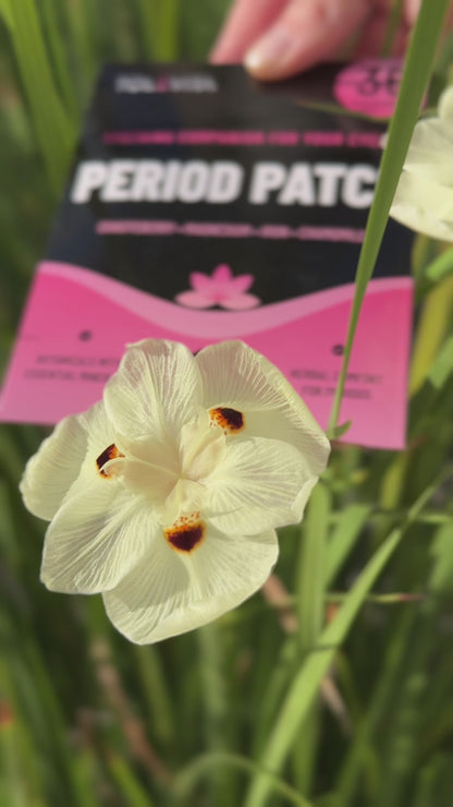 Period Patches Menstrual & Cycle Support with Chasteberry, Magnesium, Evening Primrose Oil & Herbs, 36 Patches